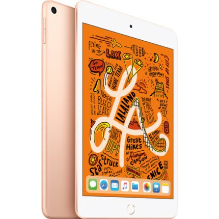 Apple 7.9 iPad mini (Early 2019, 64GB, Wi-Fi Only, Gold)